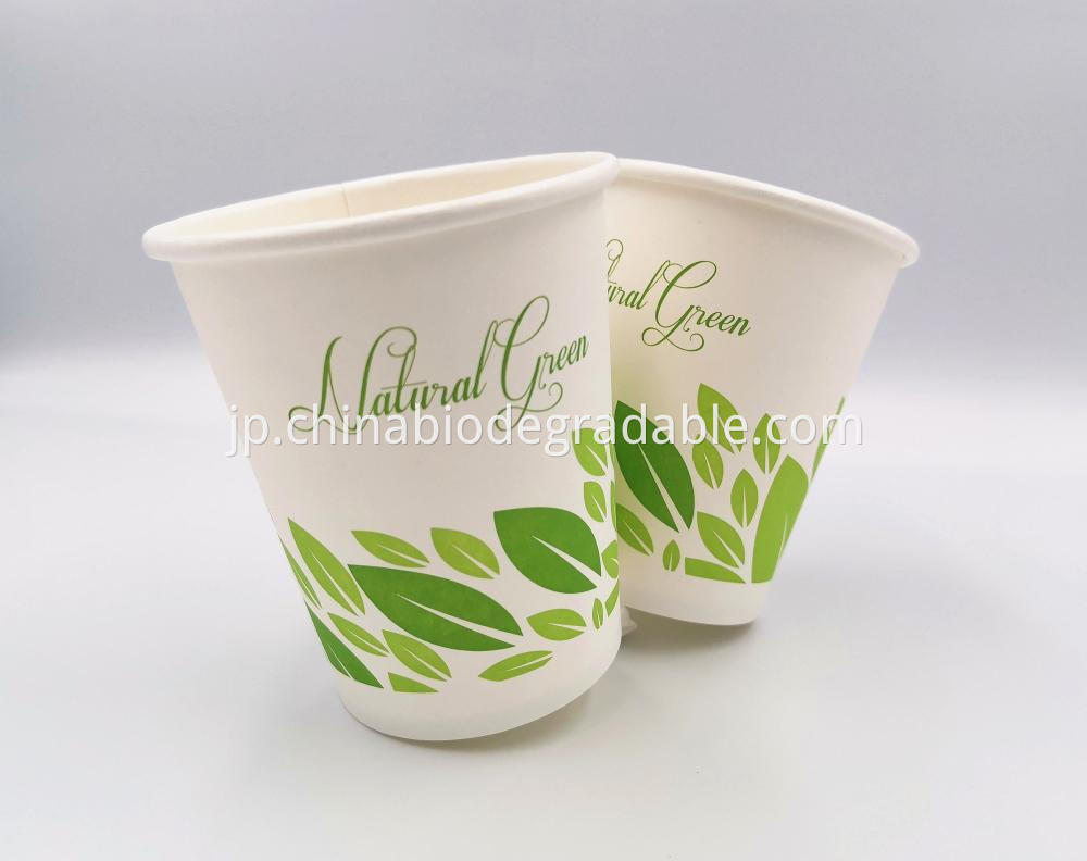 PLA Compostable Coffee Ripple Cups 8oz